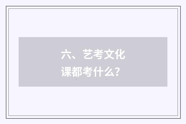六、艺考文化课都考什么?