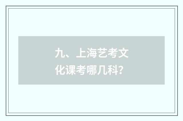 九、上海艺考文化课考哪几科？