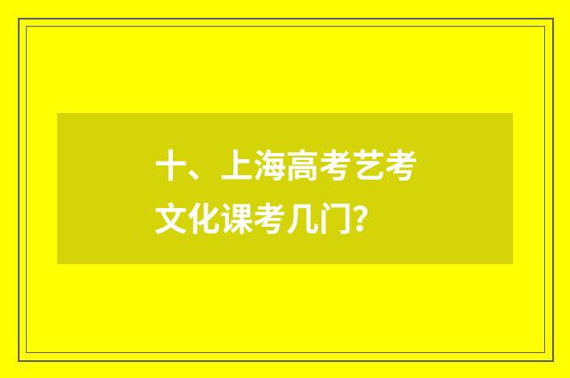 十、上海高考艺考文化课考几门？