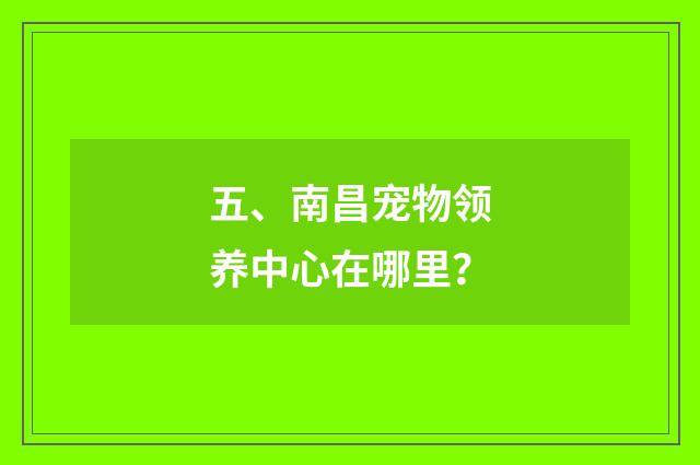 五、南昌宠物领养中心在哪里？