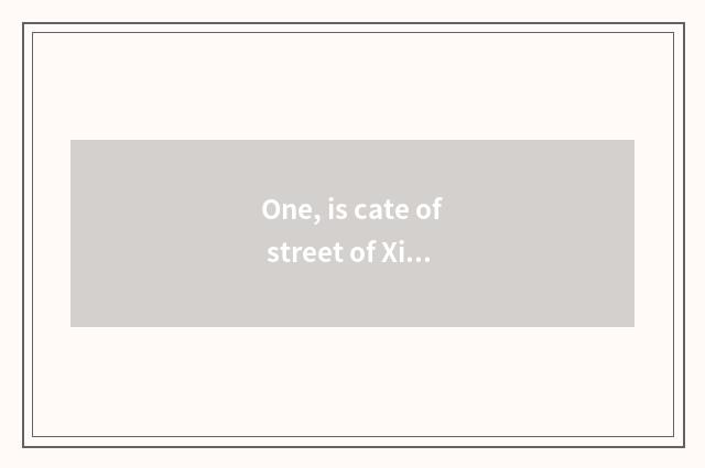 One, is cate of street of Xi'an the Huis recommended?