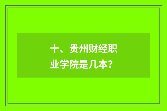 十、贵州财经职业学院是几本？
