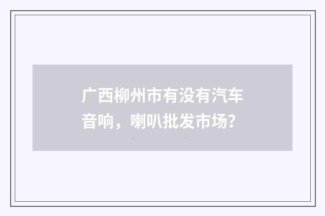 广西柳州市有没有汽车音响，喇叭批发市场？