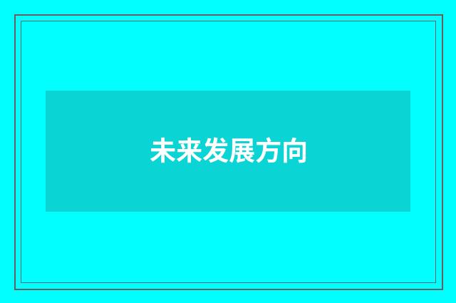 未来发展方向