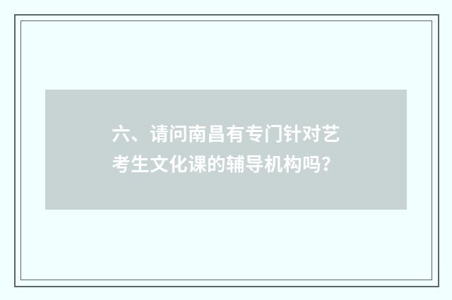 六、请问南昌有专门针对艺考生文化课的辅导机构吗？