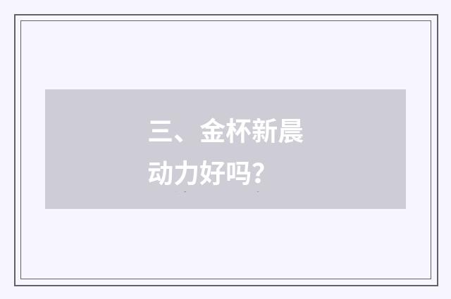 三、金杯新晨动力好吗?