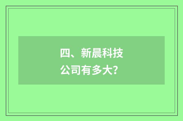 四、新晨科技公司有多大？