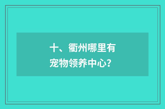 十、衢州哪里有宠物领养中心？