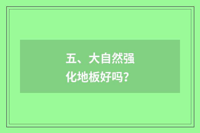 五、大自然强化地板好吗？