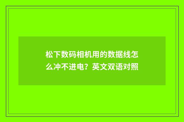 松下数码相机用的数据线怎么冲不进电？英文双语对照