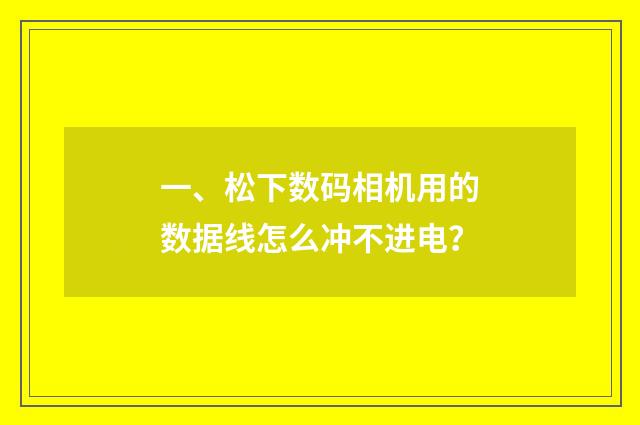 一、松下数码相机用的数据线怎么冲不进电？