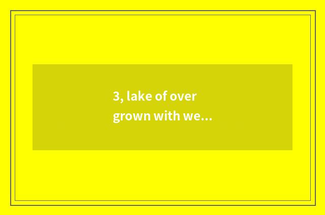 3, lake of overgrown with weeds is technical school good?