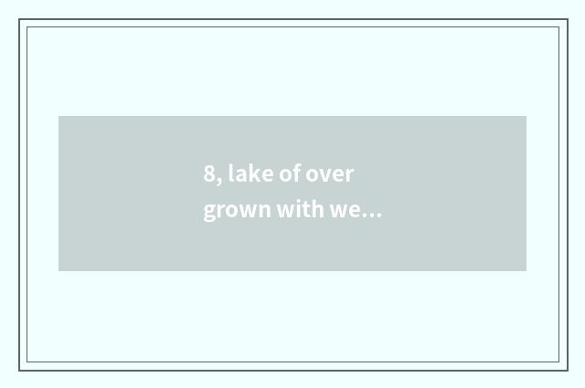 8, lake of overgrown with weeds of lake of overgrown with weeds square special t