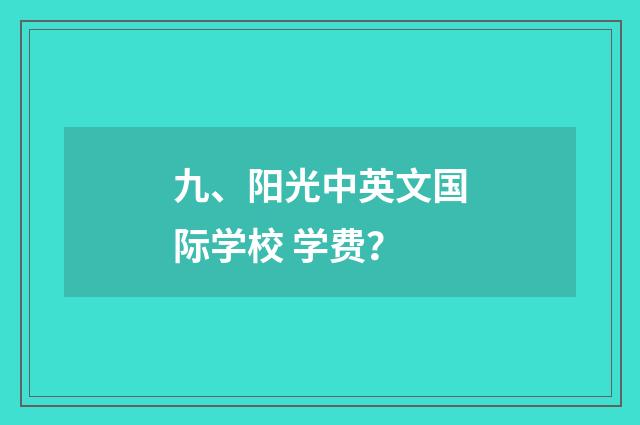 九、阳光中英文国际学校 学费？