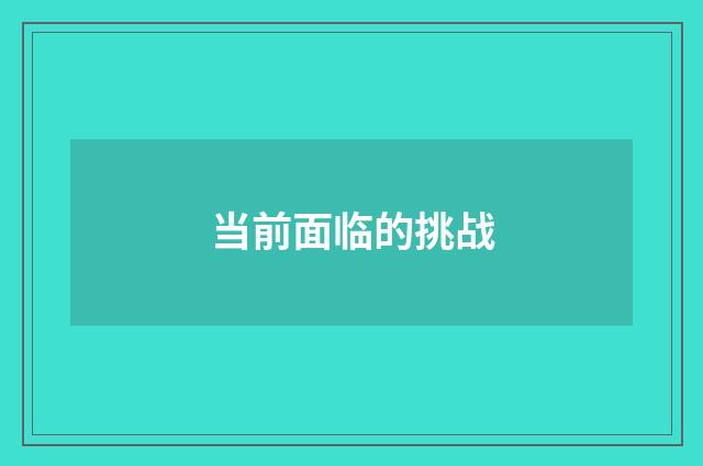 当前面临的挑战
