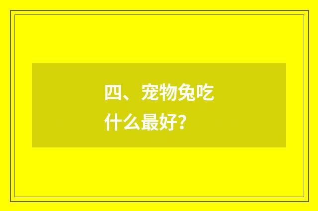 四、宠物兔吃什么最好？