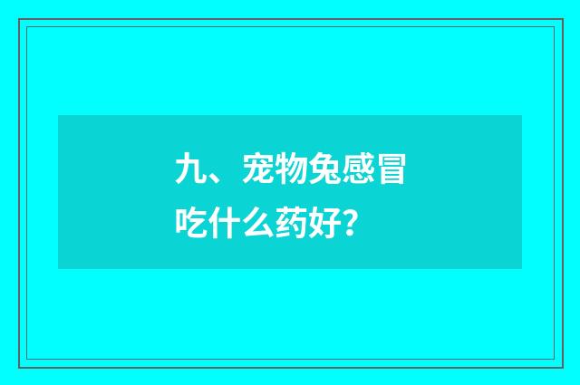 九、宠物兔感冒吃什么药好？