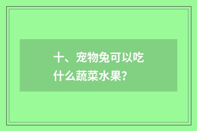 十、宠物兔可以吃什么蔬菜水果？
