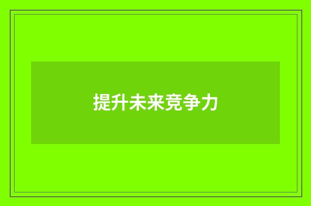 提升未来竞争力