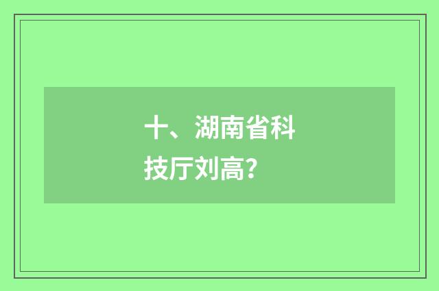 十、湖南省科技厅刘高？