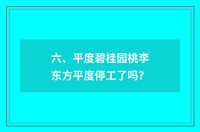 六、平度碧桂园桃李东方平度停工了吗？