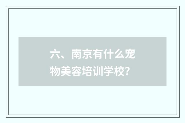 六、南京有什么宠物美容培训学校？