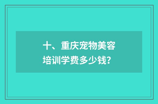 十、重庆宠物美容培训学费多少钱？