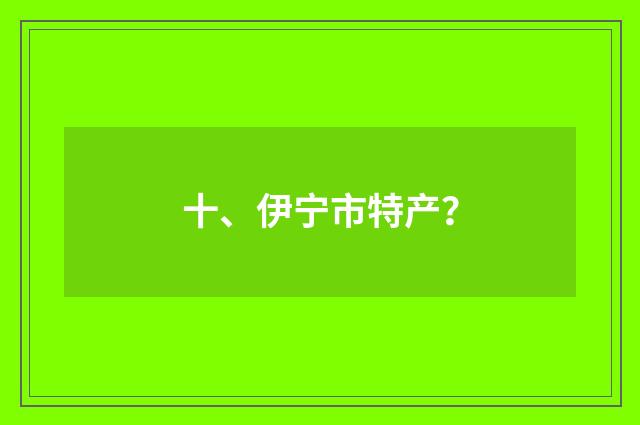 十、伊宁市特产？