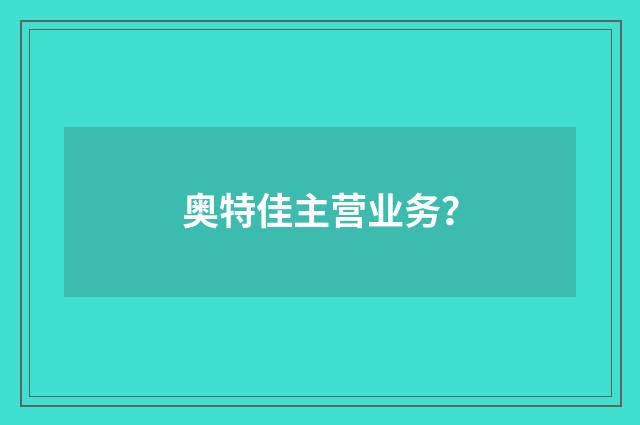 奥特佳主营业务？