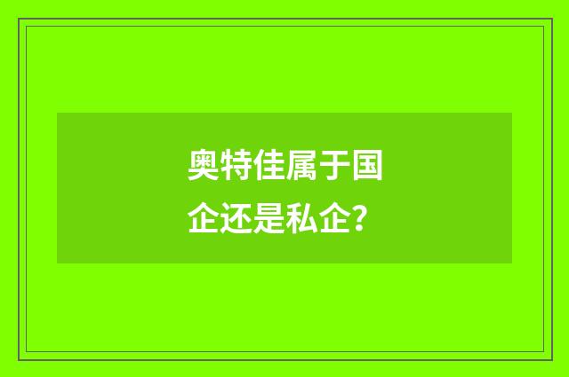奥特佳属于国企还是私企？