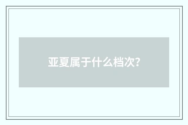亚夏属于什么档次？