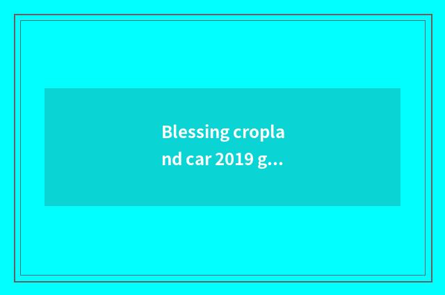 Blessing cropland car 2019 gross of end capital stock?