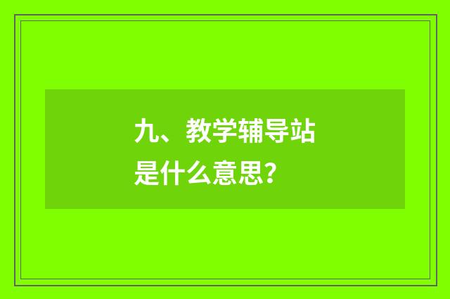 九、教学辅导站是什么意思？