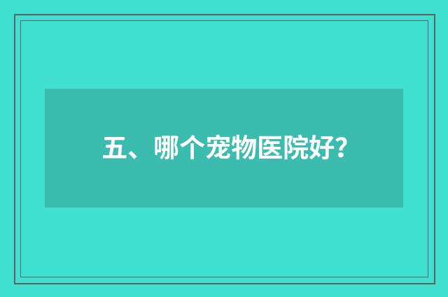 五、哪个宠物医院好？