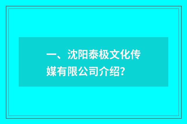 一、沈阳泰极文化传媒有限公司介绍？