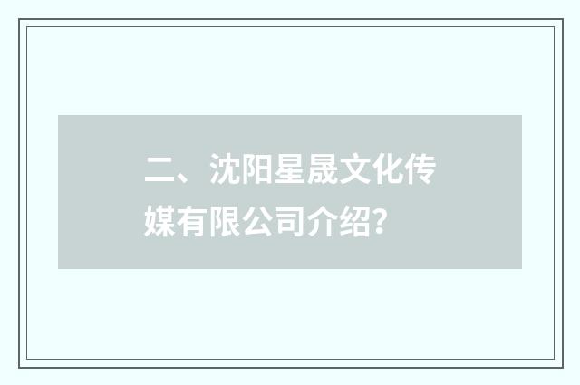 二、沈阳星晟文化传媒有限公司介绍？