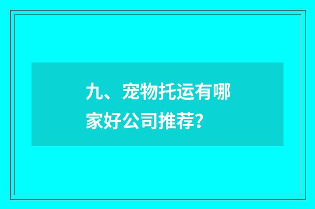 九、宠物托运有哪家好公司推荐？