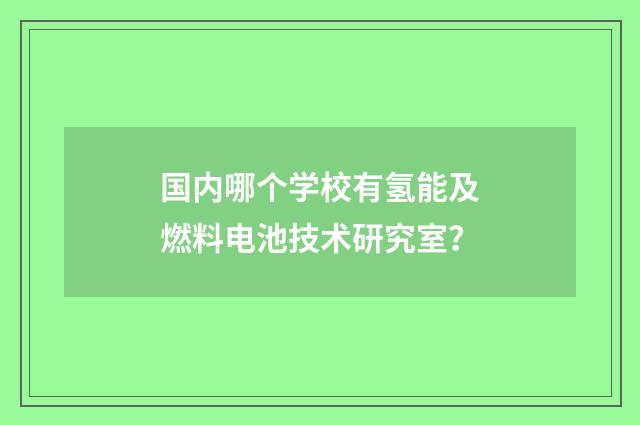 国内哪个学校有氢能及燃料电池技术研究室？