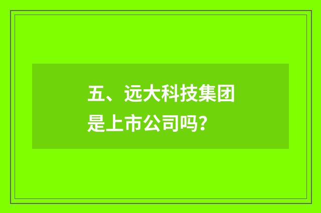 五、远大科技集团是上市公司吗？