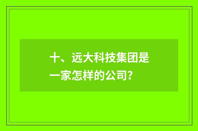 十、远大科技集团是一家怎样的公司？