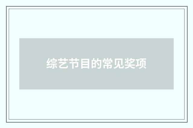 综艺节目的常见奖项