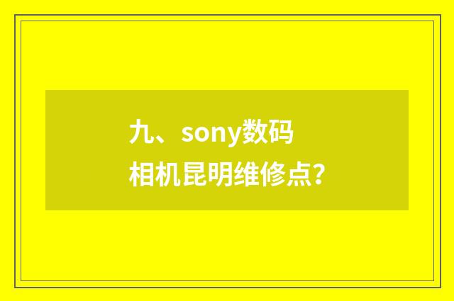 九、sony数码相机昆明维修点？