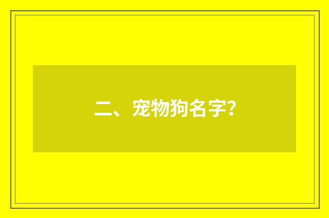 二、宠物狗名字？