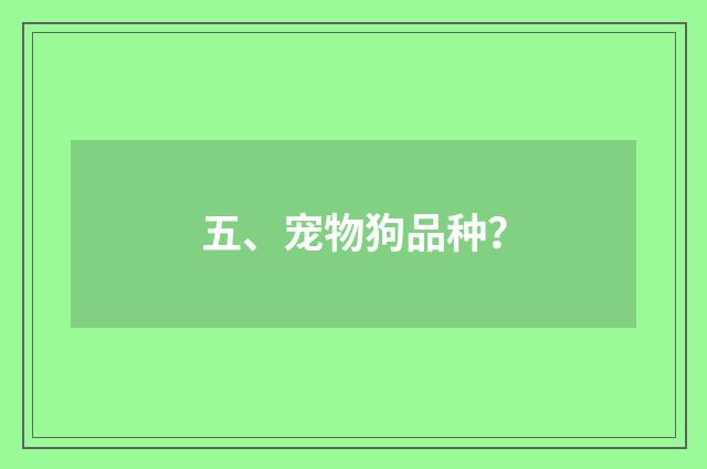 五、宠物狗品种？