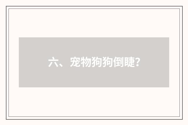 六、宠物狗狗倒睫？