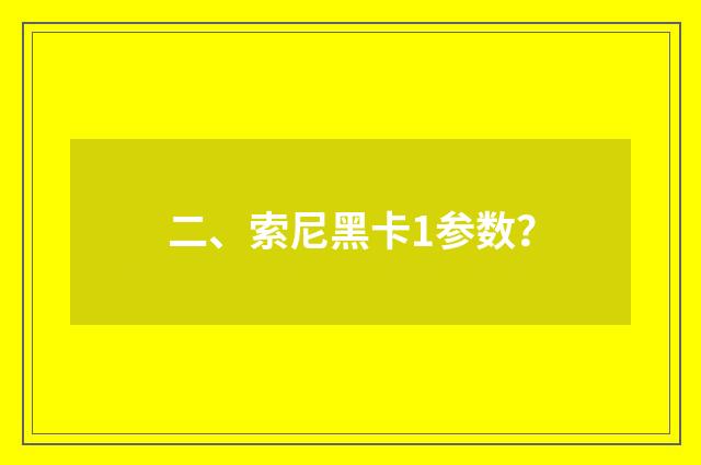 二、索尼黑卡1参数？