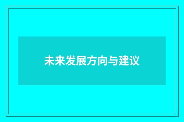 未来发展方向与建议