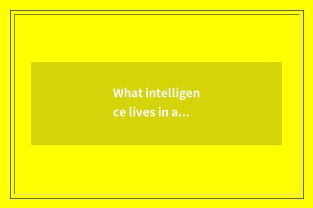 What intelligence lives in an industry is arisen