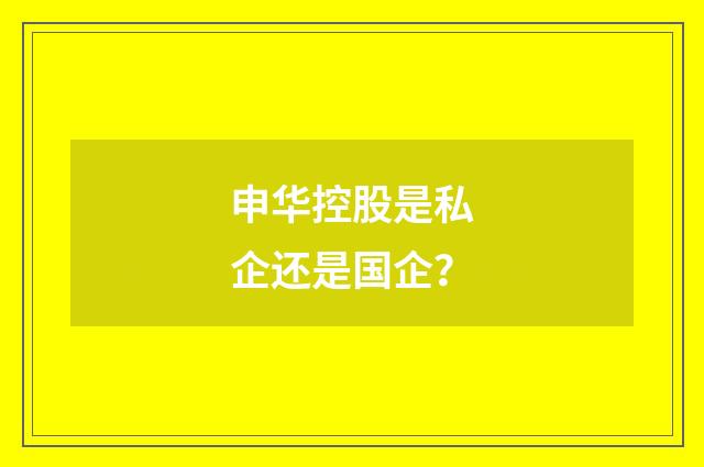 申华控股是私企还是国企?