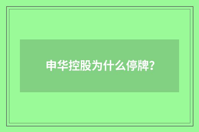 申华控股为什么停牌？